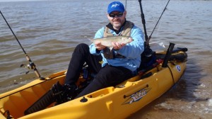 Skipjack herring