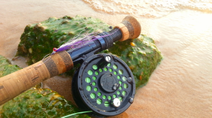 Fly Rod Reel Clouser